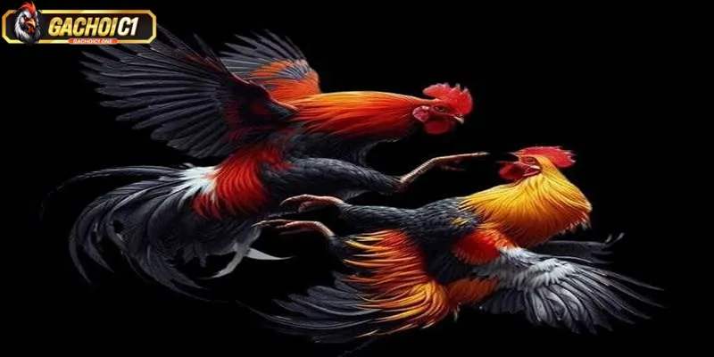 Khám Phá Trải Nghiệm Đỉnh Cao Tại Đá Gà 67 Trực Tuyến 3 Lợi ích nổi bật khi tham gia đá gà 67